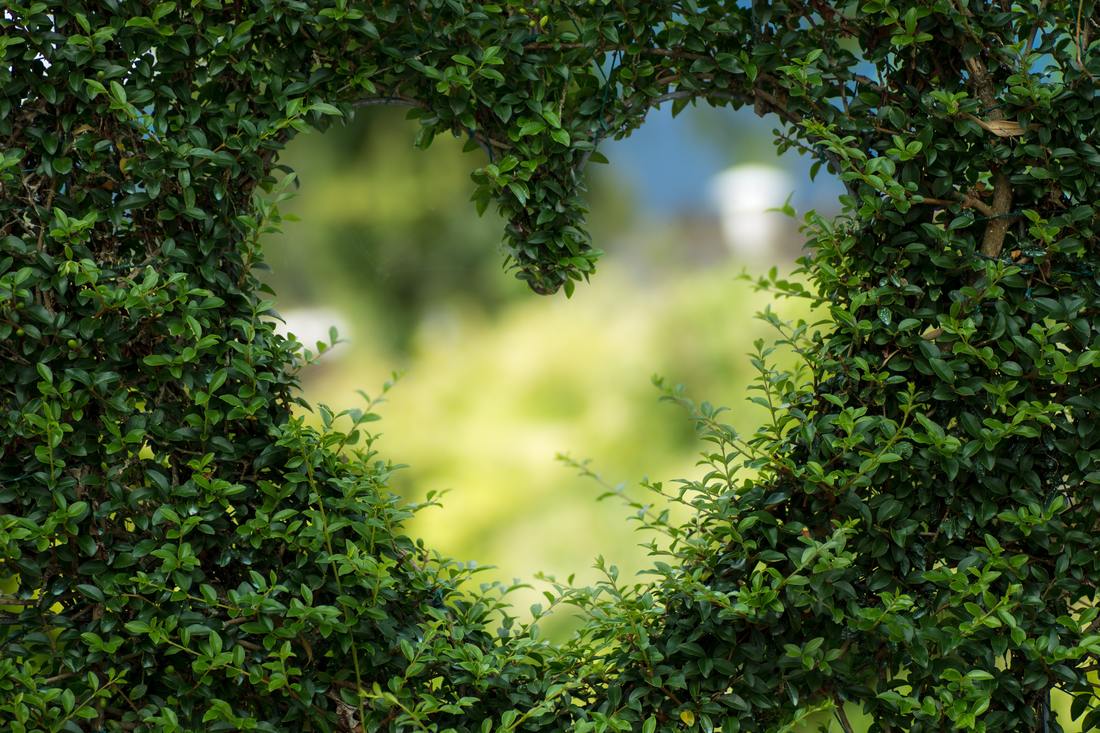 Following My Heart Straight To Bqh Part One