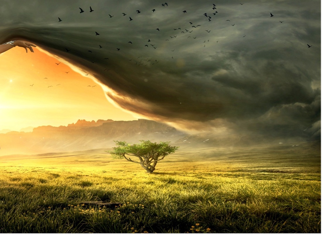 A New World