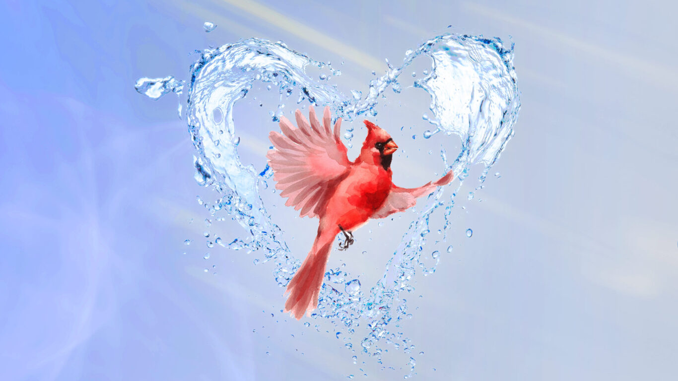 Beyond Quantum Healing
