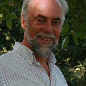 Bruno del Marmol