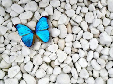 Embrace the Changes -- Solara's Annual State of the Planet Year 2018 via Talyaa Liera