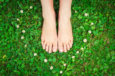 Grounding Effect -- Solara's State of the Planet February 2018 via Talyaa Liera