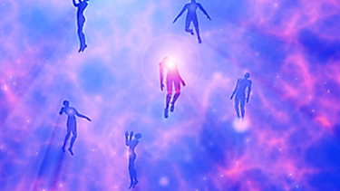 Our Intelligent Physical Body